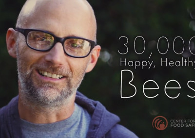 Moby’s Abuzz About Bees