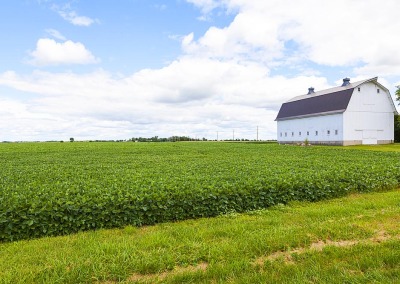 More Farmers Predicted to Go Non-GMO and Organic in 2015
