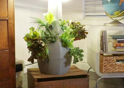 Desktop Gardening takes “Root”