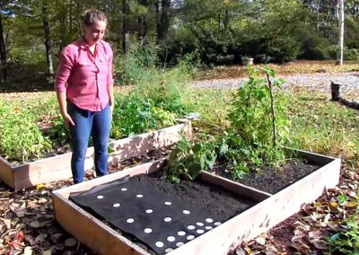 Seedsheet: Printing Out Your Garden