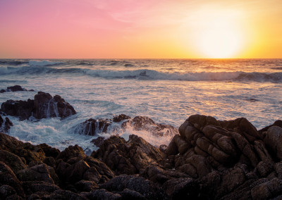 Meet Calm California in Monterey