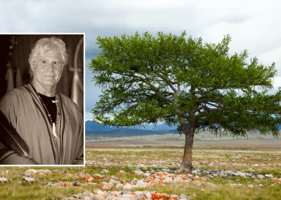 A Conversation with a Modern-Day Shaman
