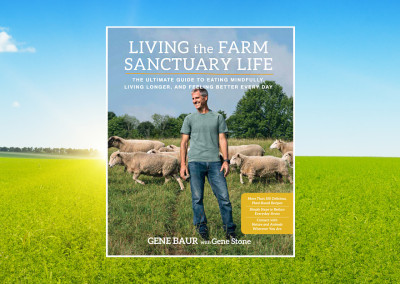 Understanding the Vegan View beyond What’s for Dinner