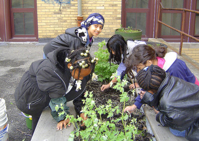 From Blight to Beauty: 10 Urban Agriculture Projects in Detroit