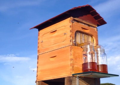 Beekeeping Just Got a Lot Better for the Buzzers and the Keepers