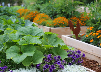 Say Yes to This Gardening No-No for Amazing Results