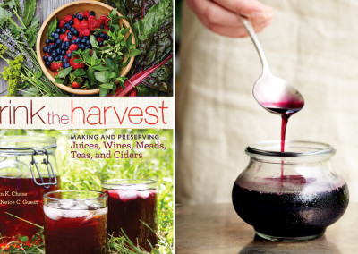 Got Berries? Make Juice (and Blueberry-Basil Syrup)