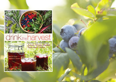 A New Way to Preserve Fresh Fruits and Veggies