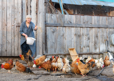 Busting the Myth That Homesteading Is Hard Work