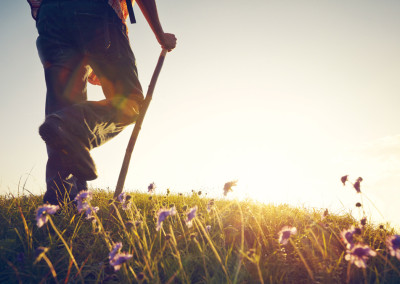 5 Ways to Savor Long, Sunny Summer Days