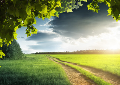 How Neighbors Turned an Old Road into a Garden