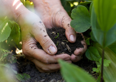 Now Is the Right Time to Compost