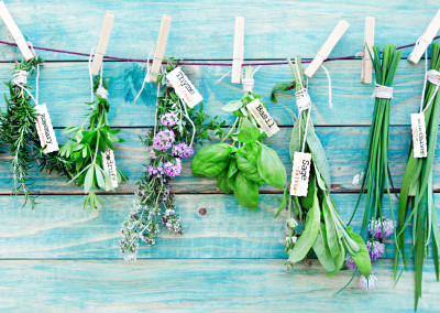 End-of-Summer Culinary Herbs Tips & Tricks