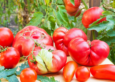 Ugly Produce Finally Gets Some Love