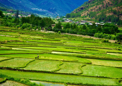 Will This Beautiful Country Be the First to Go 100 Percent Organic?