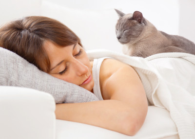 It’s Easy to Master the Art of Napping