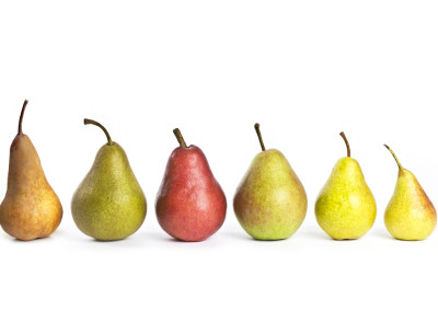 Tips for Selecting, Serving and Eating Glorious Fall Pears