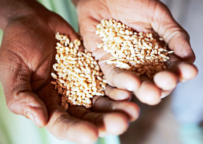 The Artisan Side of Farming