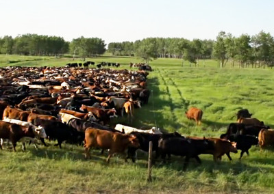 The Coolest Ranchers We’ve Ever Met
