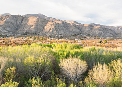 Ready For Some Great Environmental News?