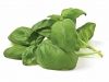 Gotham Greens basil